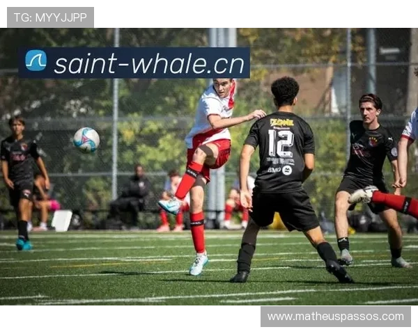 v体育真人平台携手多家知名体育赛事提供丰富直播内容满足不同用户需求