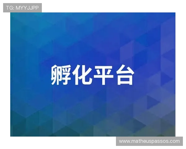 优化B体育国际官网入口访问速度的实用建议与技术方案